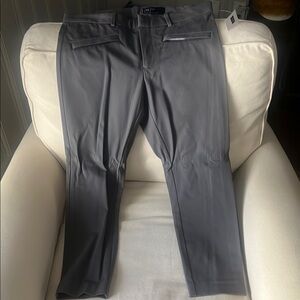 GAP Gray Skinny Pants with Flat Front Design